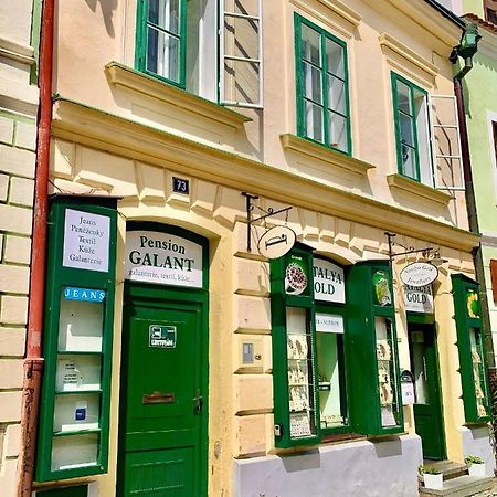 Apartman Galant Чески-Крумлов Экстерьер фото